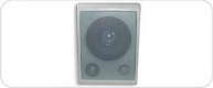 Wall Speaker / ���������������� (��������) ���������